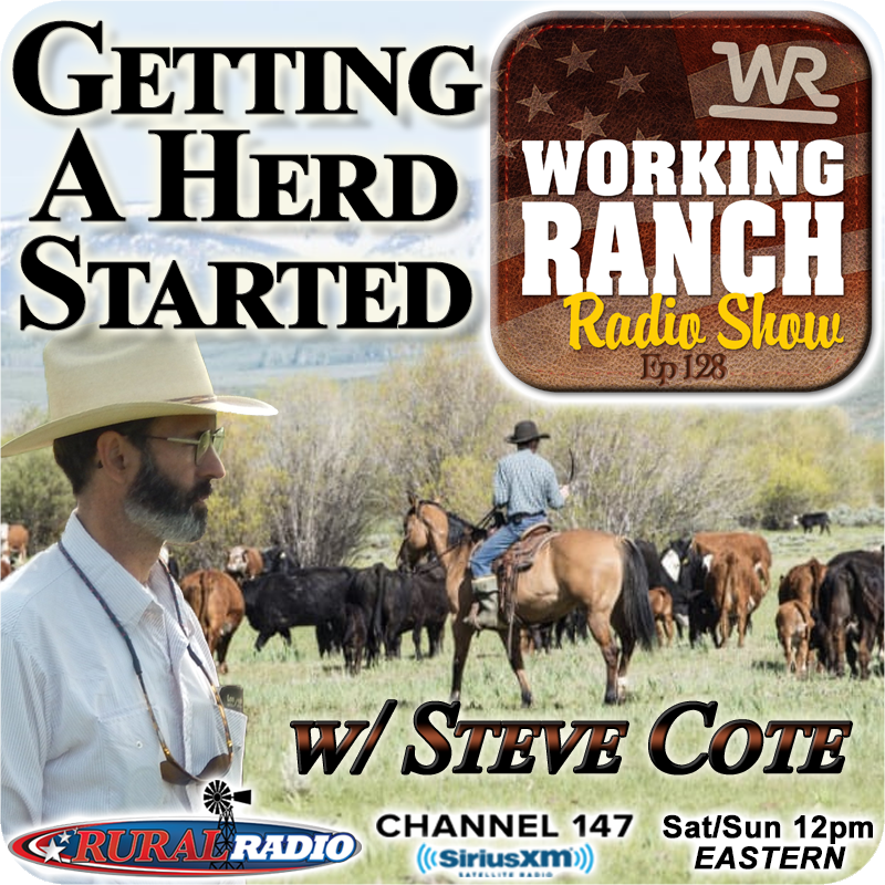 Ep 128: Stockmanship w Steve Cote… Getting a Herd Started Correctly