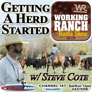 Ep 128: Stockmanship w Steve Cote… Getting a Herd Started Correctly
