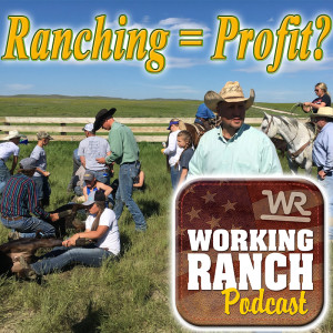 Ep 12: Are ”Ranching” and ”Profit” contradicting terms?