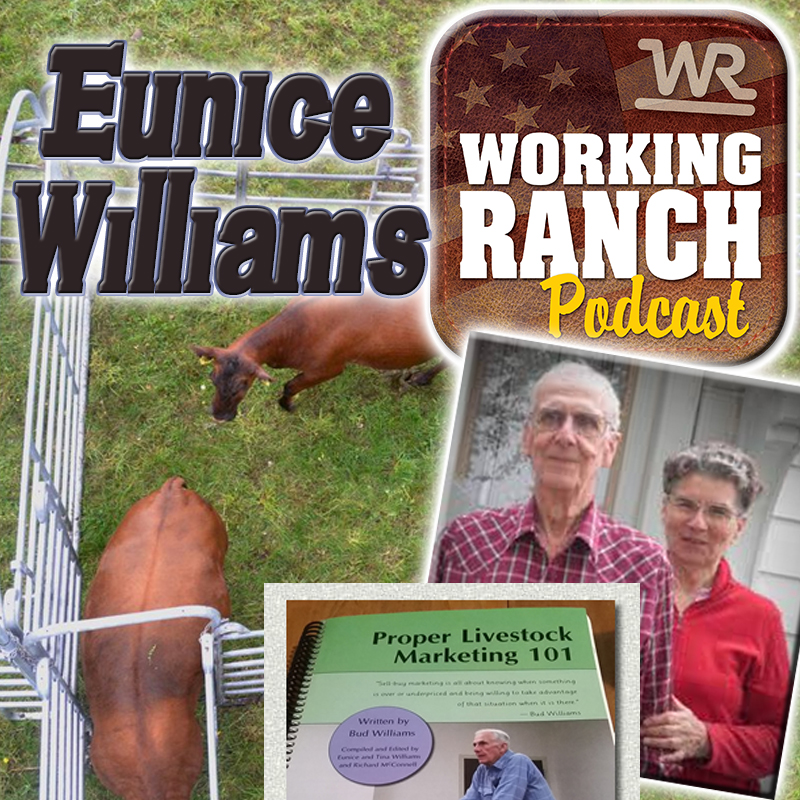 Ep 13: Conversation with Eunice Williams, wife of stockman Bud Williams.