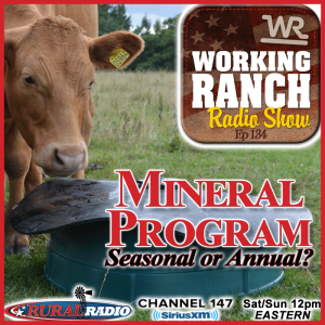 Ep 134: Should a Mineral Program be Seasonal or Annual?