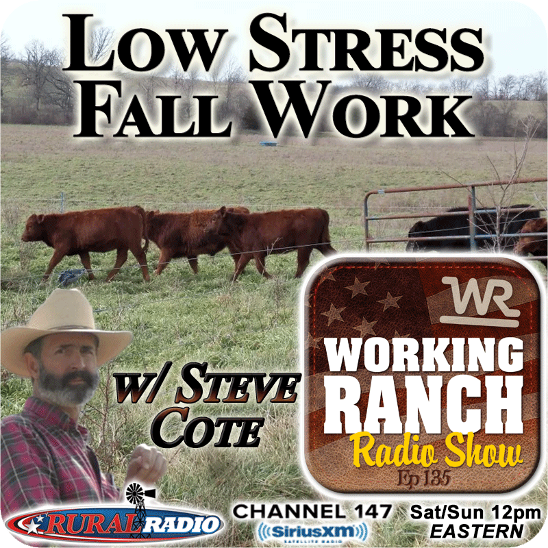 Ep 135: Steve Cote… Keeping Fall Cow/Calf Work Stress Low