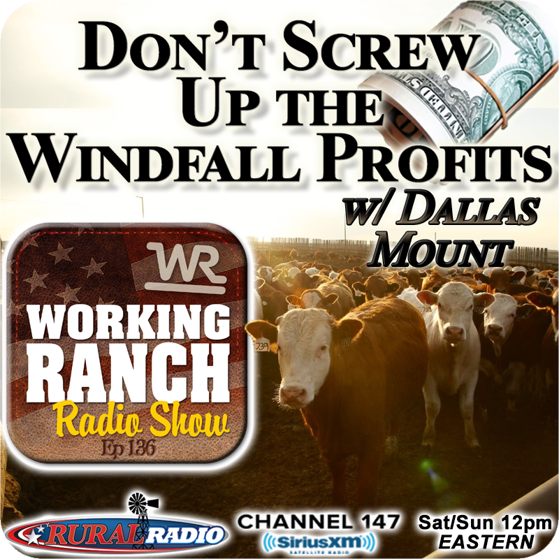 Ep 136: Don’t Screw Up Your Windfall Profits w/ Dallas Mount