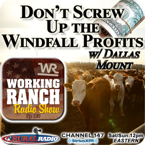 Ep 136: Don’t Screw Up Your Windfall Profits w/ Dallas Mount