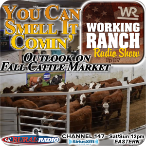 Ep 137: You Can Smell It Comin’… Outlook on Fall Cattle Market