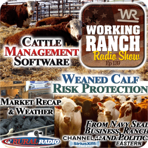 Ep 139: Topics:  Cattle Management Software, New Insurance Option for Weaned Calves, Markets & Weather