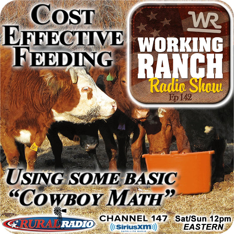 Ep 142: Cost Effective Feeding… Using Some Basic “Cowboy Math”