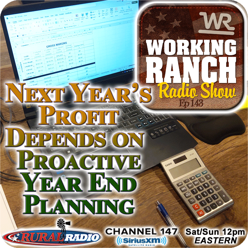 Ep 143: Next Year’s Profit Depends on Proactive Year End Planning