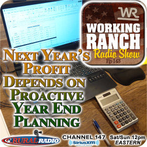Ep 143: Next Year’s Profit Depends on Proactive Year End Planning