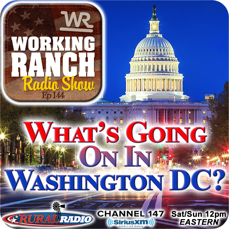 Ep 144: What’s Going On In Washington DC?