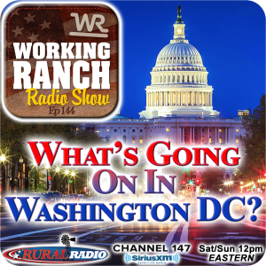Ep 144: What’s Going On In Washington DC?
