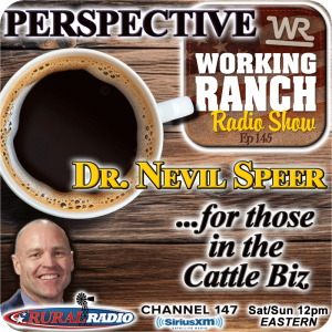 Ep 145: Perspective from Dr. Nevil Speer... For Those in The Cattle Biz