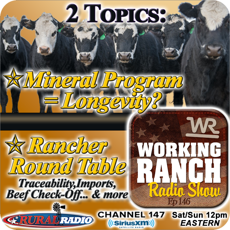 Ep 146: Two Interviews... Mineral Program Equals Longevity & Rancher Round Table