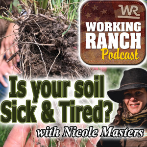 Ep 14: Is Your Soil "Sick & Tired"?