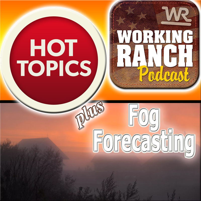 Ep 15: Hot Topics and 90 Day Fog Weather Forecasting