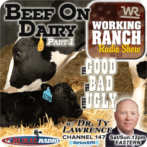 Ep 151: Beef On Dairy w Dr. Ty Lawrence Part 1: The Good, The Bad, & The Ugly