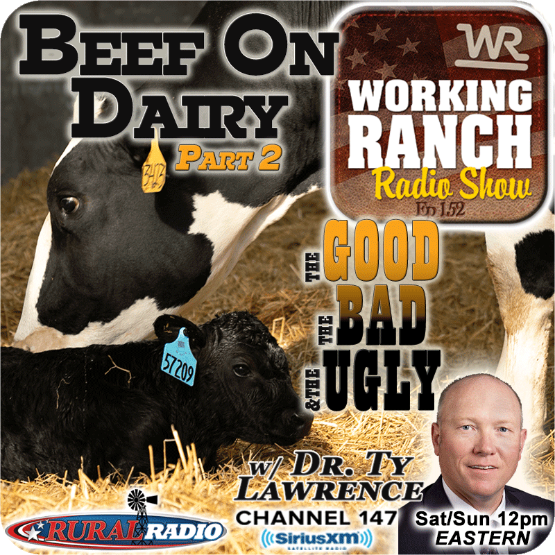 Ep 152: Beef On Dairy w Dr. Ty Lawrence Part 2: The Good, The Bad, The Ugly