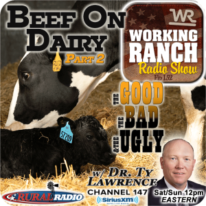 Ep 152: Beef On Dairy w Dr. Ty Lawrence Part 2: The Good, The Bad, The Ugly