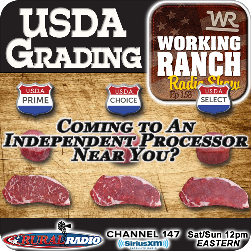 Ep 153: USDA Grading… Coming To An Independent Processor Near You?