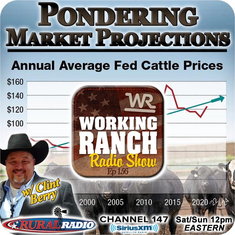 Ep 156:  Pondering Over the 2024 Cattle Market Projections w Clint Berry