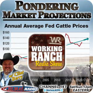 Ep 156:  Pondering Over the 2024 Cattle Market Projections w Clint Berry