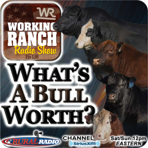 Ep 158:  What’s The Value of A Good Bull w Dr. Mark Johnson