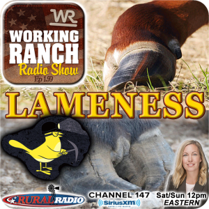 Ep 159:  Lameness… A Canary in the Coal Mine w/ Dr. Lacey Fahrmeier