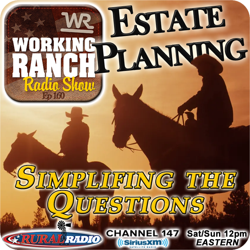 Ep 160: Let's Try To Simplify The Questions On Estate Planning