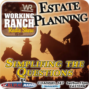 Ep 160: Let’s Try To Simplify The Questions On Estate Planning