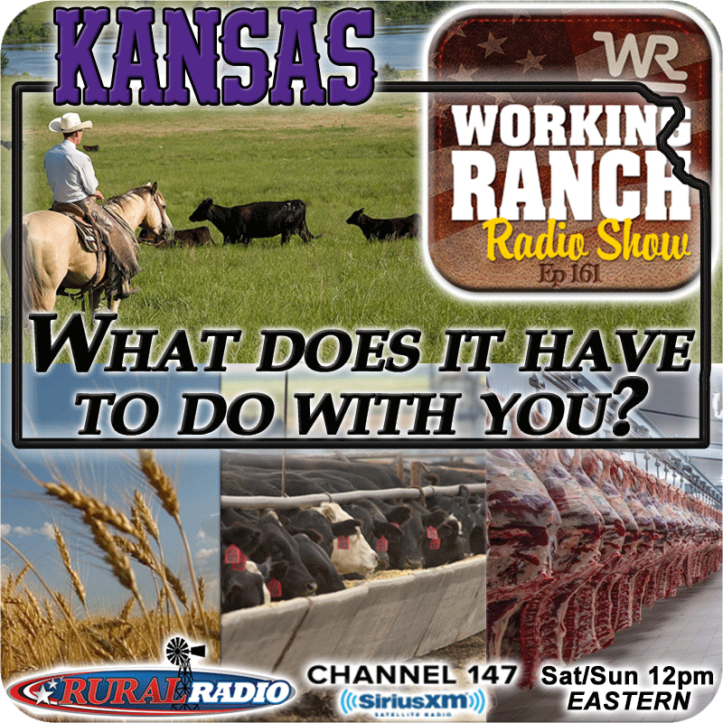 Ep 161: What Does Kansas Have To Do With Your Cattle Operation?