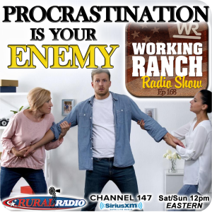 Ep 168: Procrastination is Your Enemy