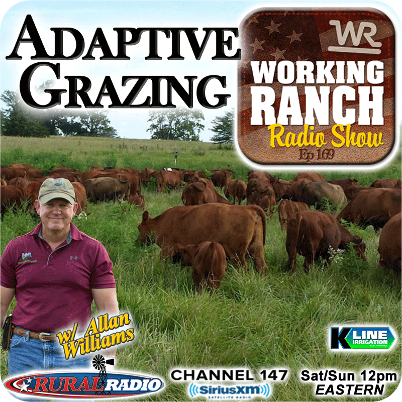 Ep 169: Adaptive Grazing w Allen Williams… Cheaper Than Buying More Land