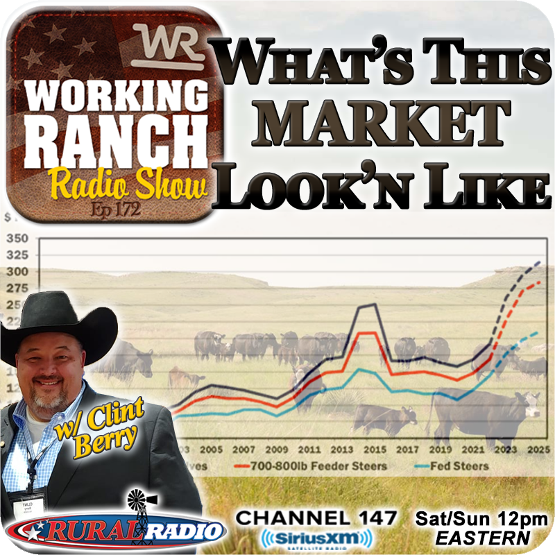 Ep 172: What’s This Fall Cattle Market Gonna Look Like w Clint Berry