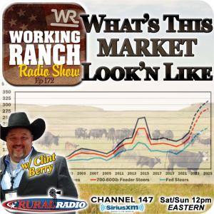 Ep 172: What’s This Fall Cattle Market Gonna Look Like w Clint Berry