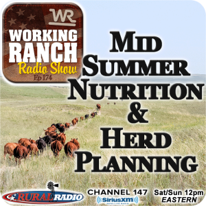 Ep 174: Mid-Summer Nutrition & Cow Herd Planning