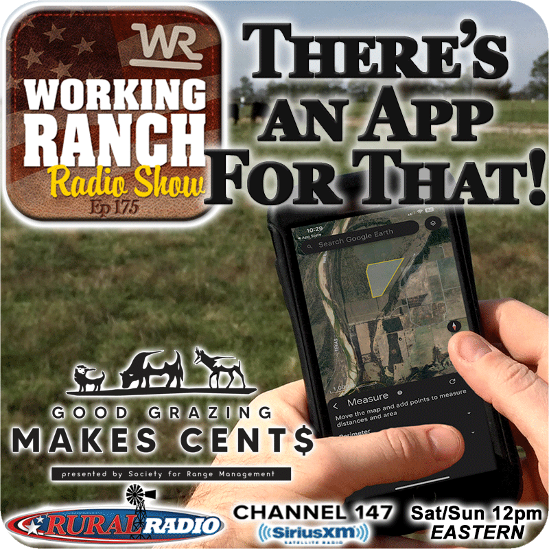 Ep 175: There’s An App For That w Dave Voth