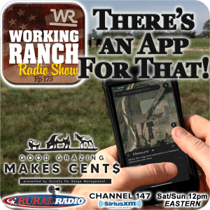Ep 175: There’s An App For That w Dave Voth