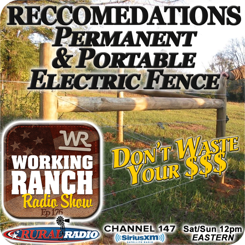 Ep 176: Recommendations on Permanent and Portable Electric Fencing Components