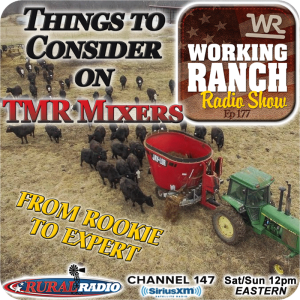 Ep 177: Things to Consider on Using TMR Mixers from... Rookie to Expert