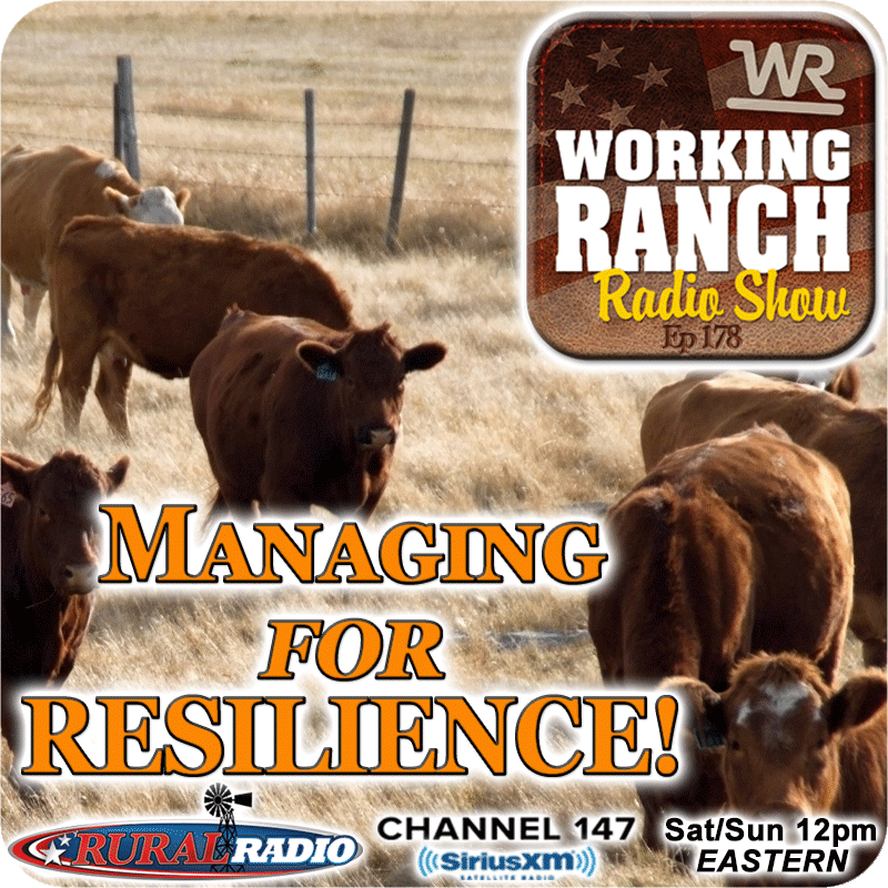 Ep 178: Managing For Resilience!