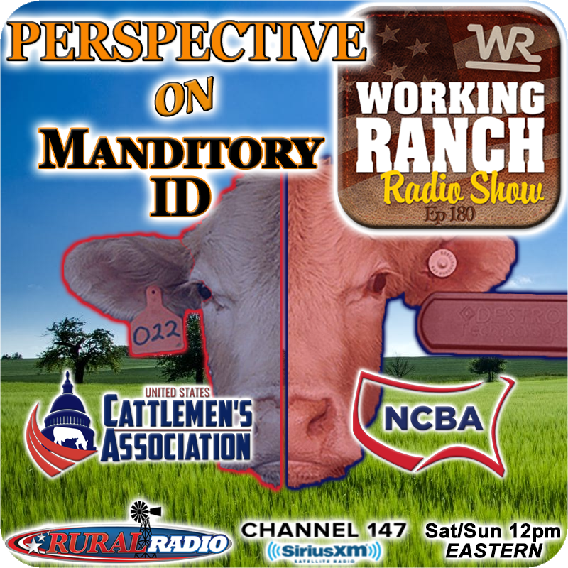 Ep 180: Mandatory Animal ID: Two Industry Groups’ Perspective