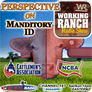 Ep 180: Mandatory Animal ID: Two Industry Groups’ Perspective