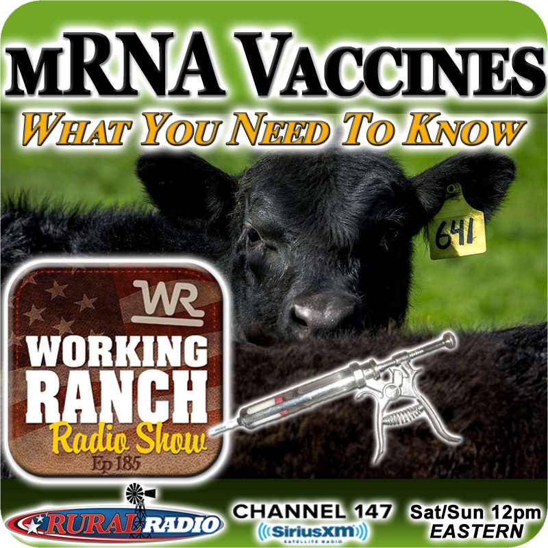 Ep 185: mRNA Vaccines... What You Need To Know