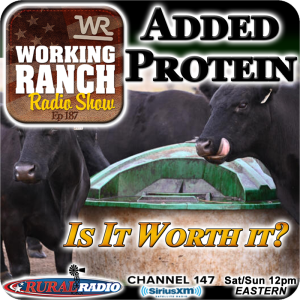 Ep 187:  Added Protein To Your Cow’s Diet… Is It Worth It?