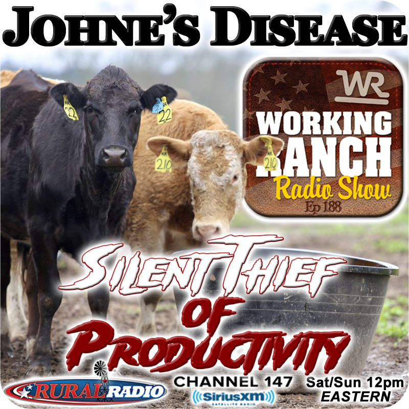 Ep 188: Johne’s Disease… the “Silent Thief of Productivity”!