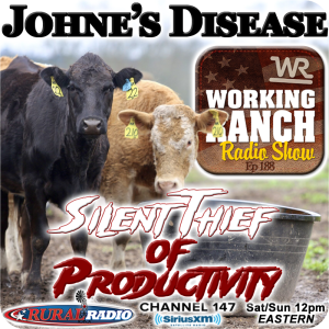 Ep 188: Johne’s Disease… the “Silent Thief of Productivity”!