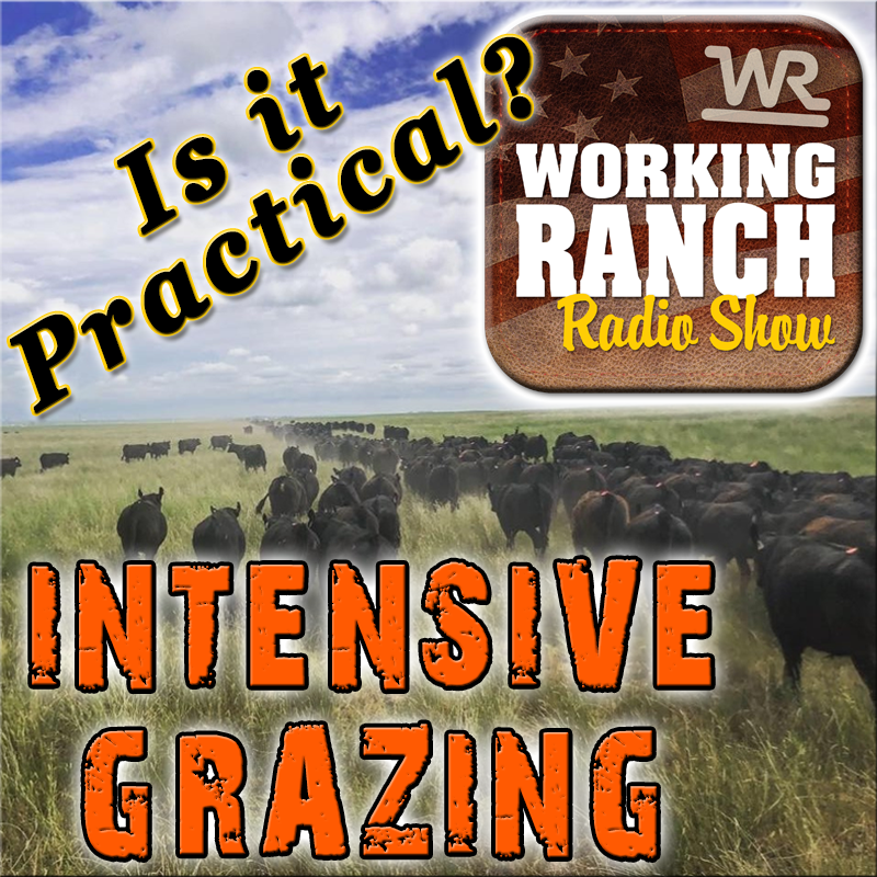 Ep 19: Is Intensive Grazing Practical?