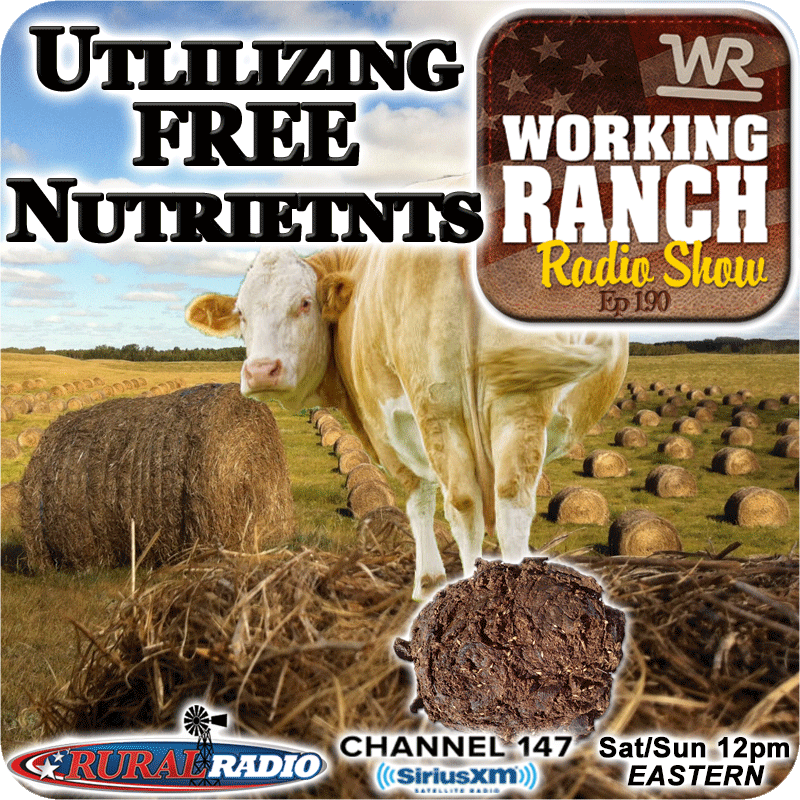 Ep 190: Utilizing the FREE Nutrients From the South End of a Northbound Cow