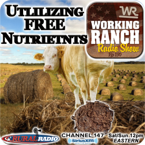 Ep 190: Utilizing the FREE Nutrients From the South End of a Northbound Cow