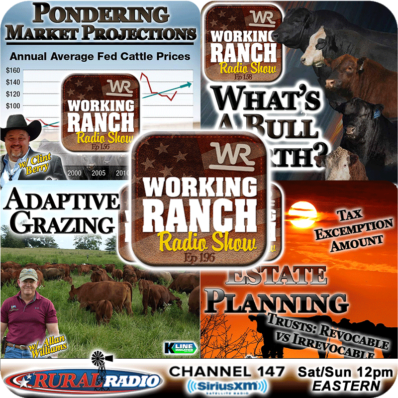 Ep 196: Top Shows from 2024 - #4-#1